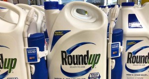 Clethodim vs. Glyphosat für Kohlpflanzen:Ein umfassender Leitfaden 