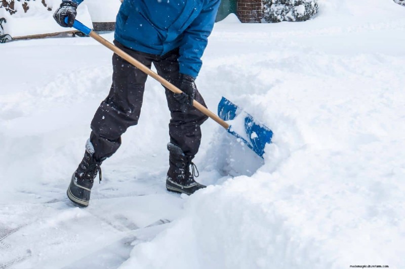 Sneeuw op straat scheppen:is dat legaal? - [Uw merknaam] 