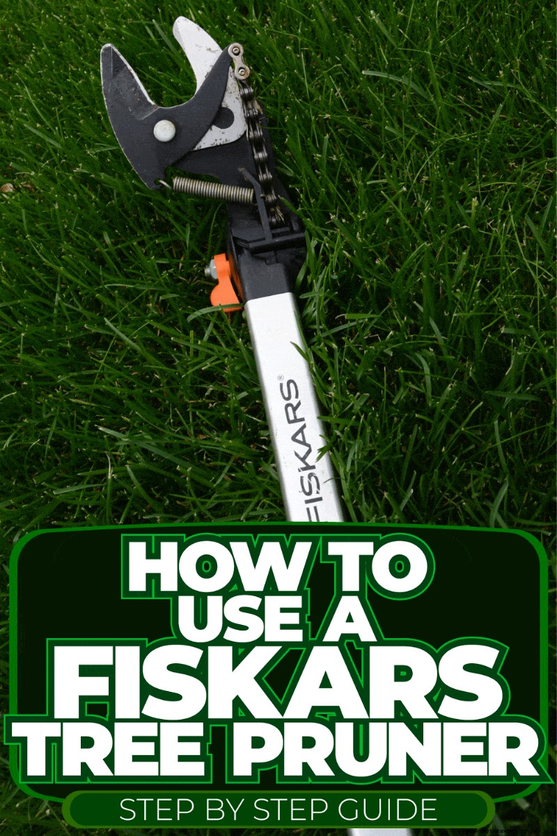 Fiskars Baumscheren-Anleitung:Schritt-für-Schritt-Anleitung und Tipps 
