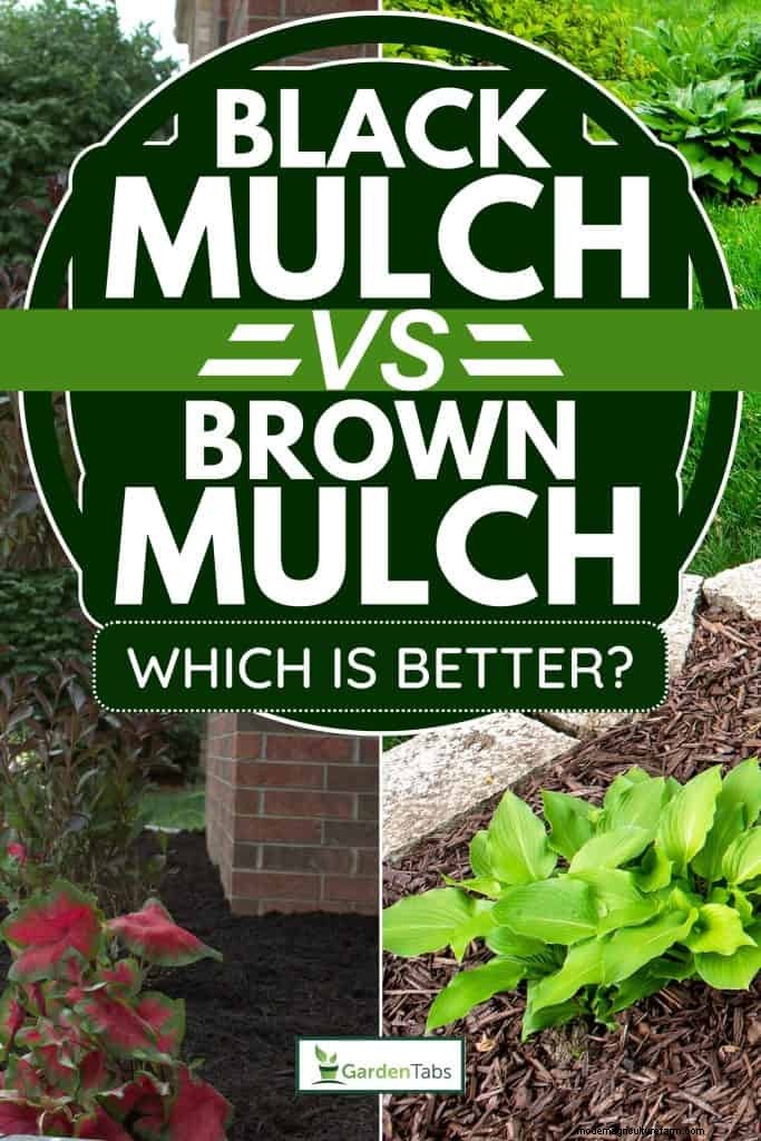 Schwarzer vs. brauner Mulch:Ein umfassender Vergleich für Ihren Garten 