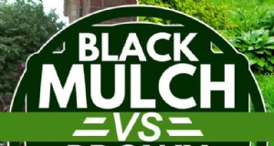 黒マルチと茶色マルチ:あなたの庭の包括的な比較 