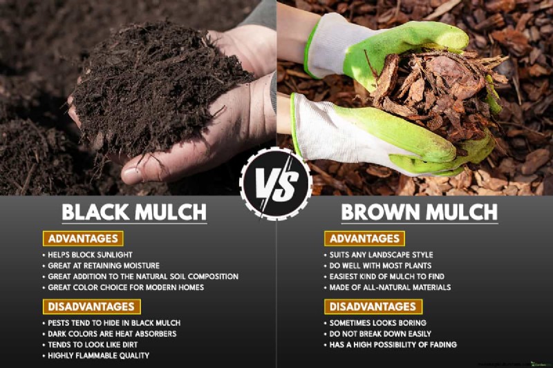 Schwarzer vs. brauner Mulch:Ein umfassender Vergleich für Ihren Garten 