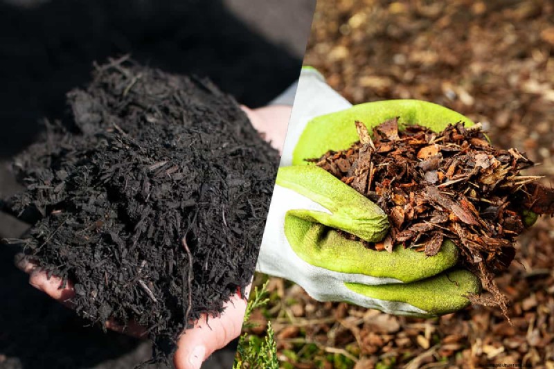 Schwarzer vs. brauner Mulch:Ein umfassender Vergleich für Ihren Garten 