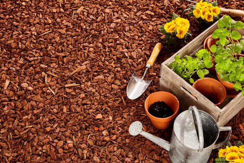 Schwarzer vs. brauner Mulch:Ein umfassender Vergleich für Ihren Garten 