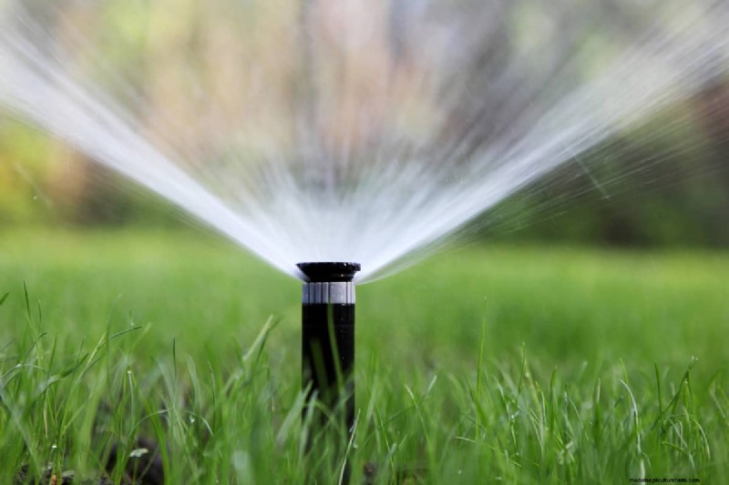 Wasserschlag in Sprinkleranlagen:Ursachen und Lösungen 