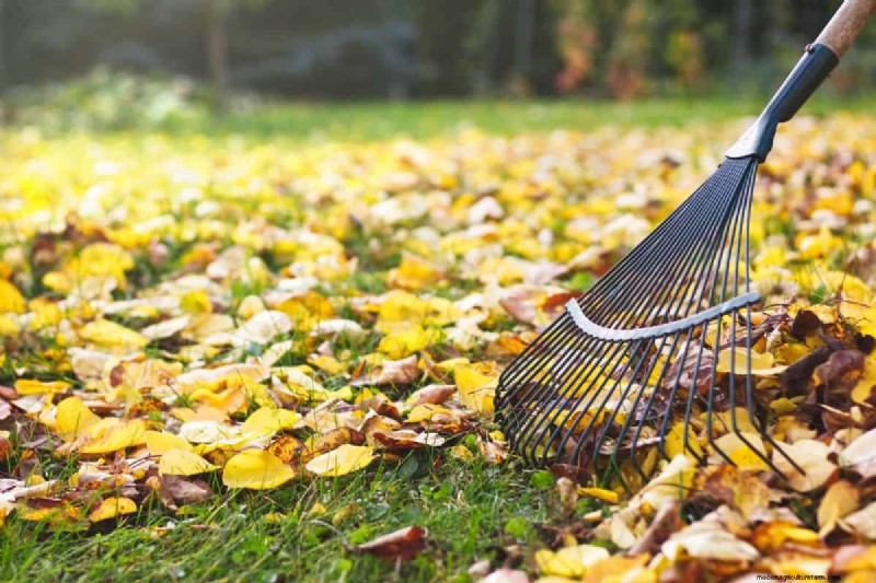 Bugrechen vs. Laubrechen:Welches ist das Richtige für Ihren Garten? 