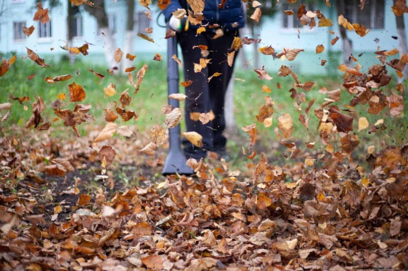 Bugrechen vs. Laubrechen:Welches ist das Richtige für Ihren Garten? 