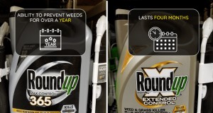 Roundup 365 vs. Extended Control:Hauptunterschiede und Unkrautprävention 
