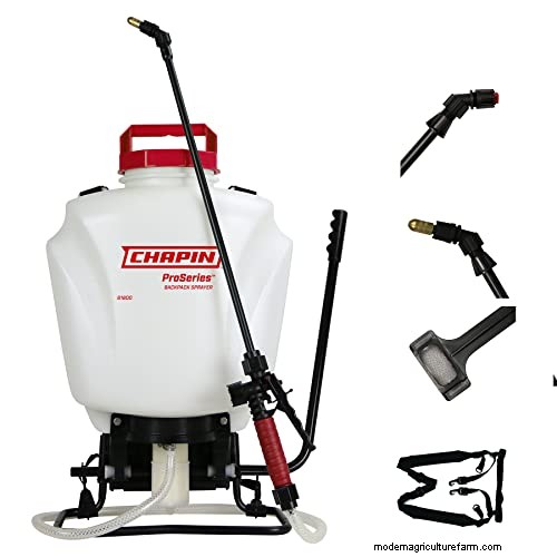Roundup 365 vs. Extended Control:Hauptunterschiede und Unkrautprävention 