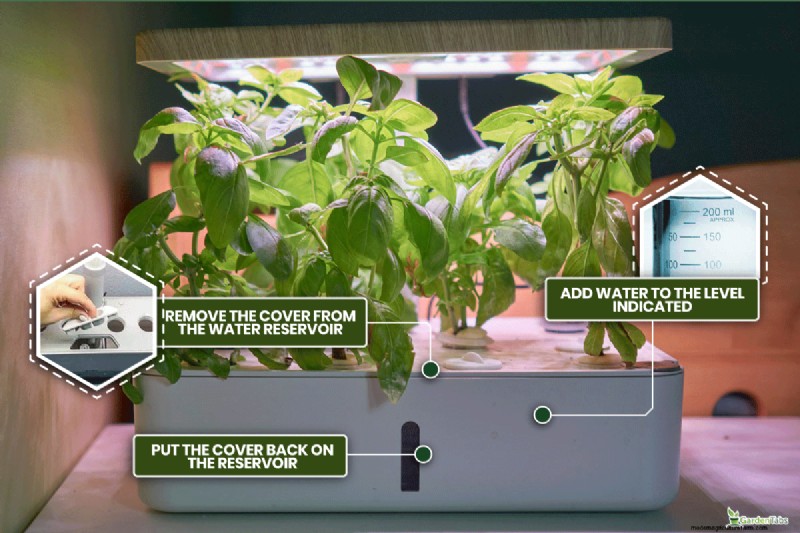 Problem mit der roten Ampel bei Aerogarden:Fehlerbehebung und Wasserstand 