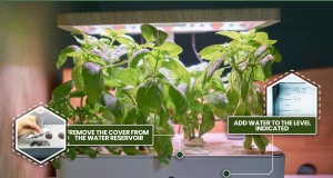 Problem mit der roten Ampel bei Aerogarden:Fehlerbehebung und Wasserstand 