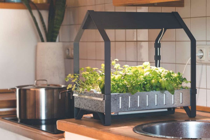 Problem mit der roten Ampel bei Aerogarden:Fehlerbehebung und Wasserstand 