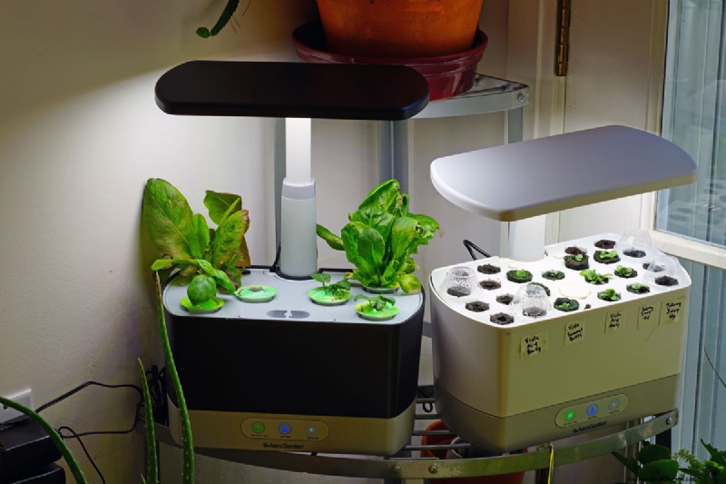 Problem mit der roten Ampel bei Aerogarden:Fehlerbehebung und Wasserstand 