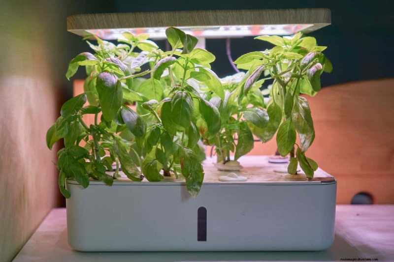 Problem mit der roten Ampel bei Aerogarden:Fehlerbehebung und Wasserstand 