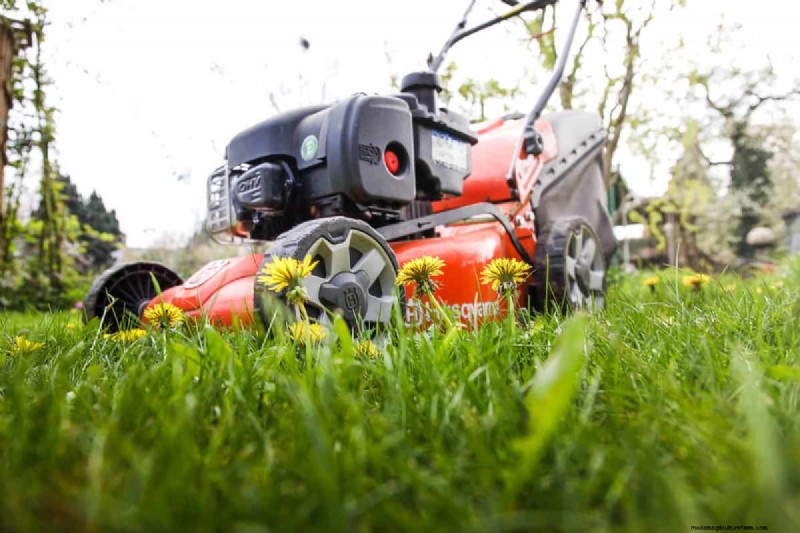 Beste olie voor Husqvarna-grasmaaiers:aanbevelingen en typen 