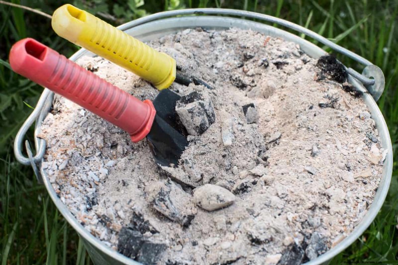 Knochenmehl und Holzasche für Nadelbäume:Vorteile und Alternativen 
