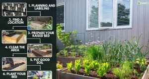 Hochbeet-Gemüsegarten:Eine Schritt-für-Schritt-Anleitung für Anfänger 