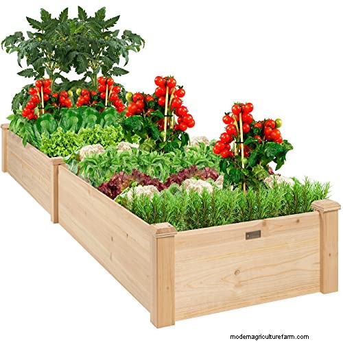 Hochbeet-Gemüsegarten:Eine Schritt-für-Schritt-Anleitung für Anfänger 