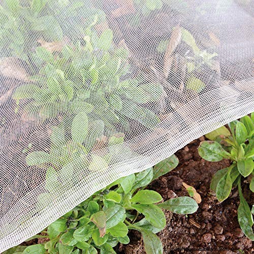 Hochbeet-Gemüsegarten:Eine Schritt-für-Schritt-Anleitung für Anfänger 