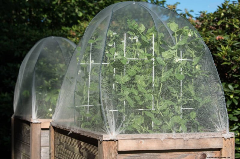 Hochbeet-Gemüsegarten:Eine Schritt-für-Schritt-Anleitung für Anfänger 