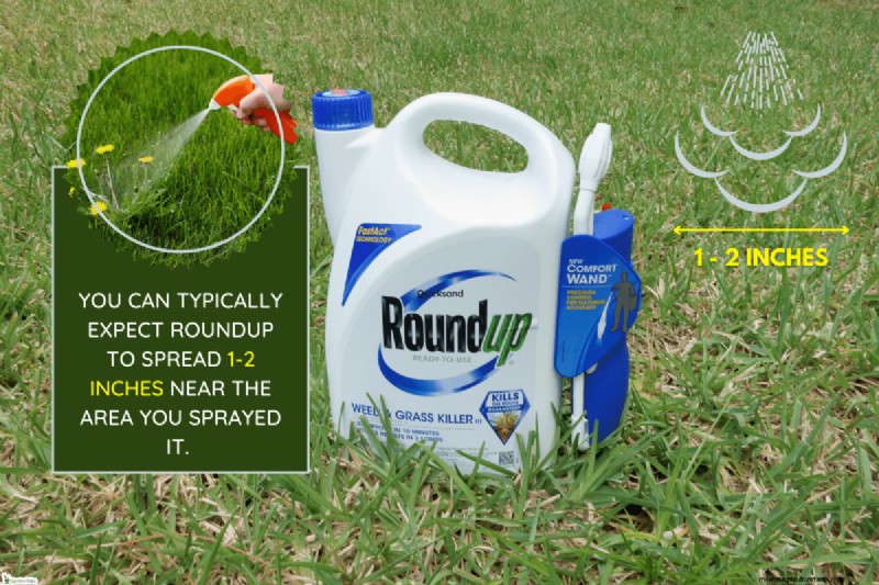 Verbreitung und Wirksamkeit von Roundup:Wie weit reicht es? 
