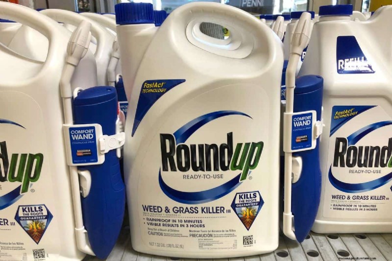 Roundup vs. Creeping Charlie:Funktioniert es? 