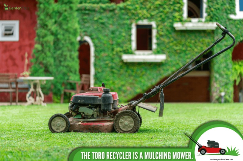 Toro Recycler:mulcht het? Kenmerken en voordelen 