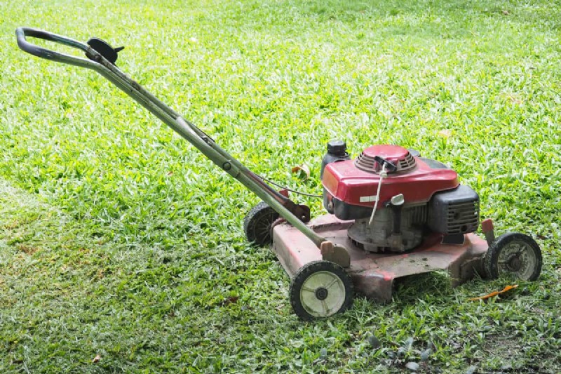 Toro Recycler:mulcht het? Kenmerken en voordelen 