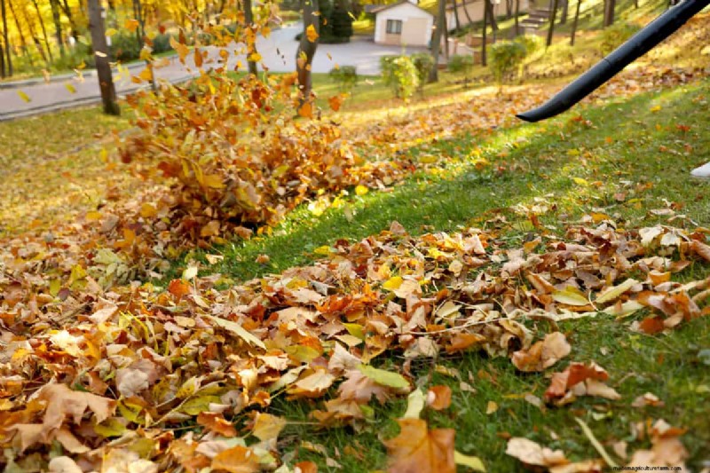 Black &Decker bladblazerzakbevestiging:een eenvoudige handleiding 