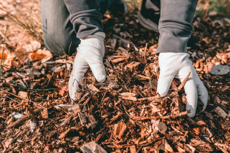 Tropfbewässerung:Über oder unter Mulch? Best Practices erklärt 