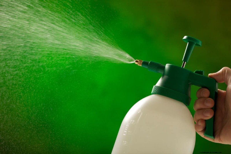 Roundup und Bambus:Effektive Kontrolle und Rhizomzerstörung 