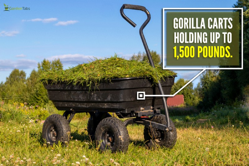 Gewichtscapaciteit Gorilla Cart:wat kan hij vervoeren? 