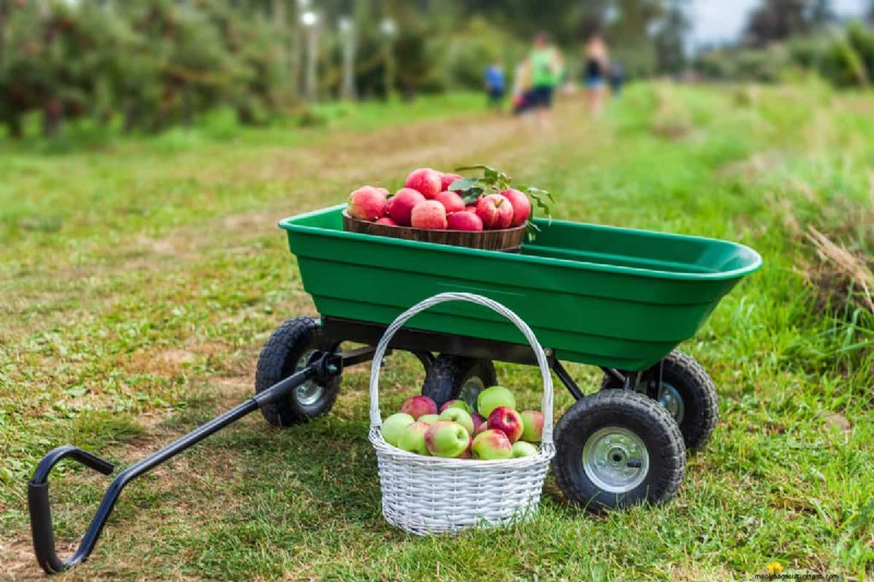 Gewichtscapaciteit Gorilla Cart:wat kan hij vervoeren? 