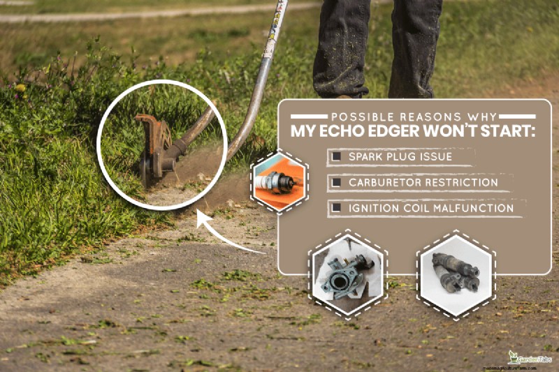 トラブルシューティング:Echo Edger が起動しないのはなぜですか? - 解決策と修正 