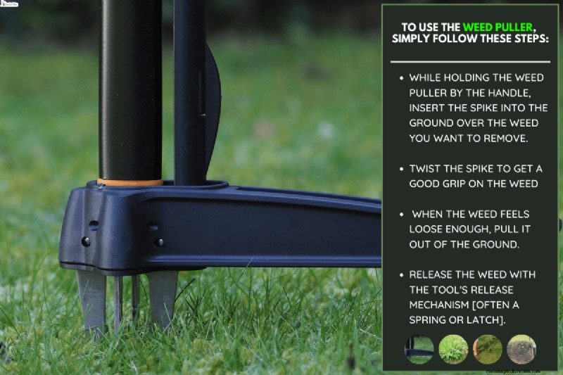 Yardworks Weed Puller:効果的な除草のための包括的なステップバイステップガイド 