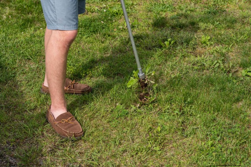 Yardworks Weed Puller:効果的な除草のための包括的なステップバイステップガイド 
