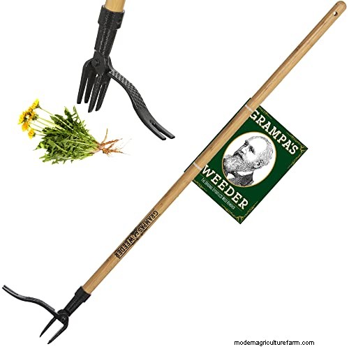Yardworks Weed Puller:効果的な除草のための包括的なステップバイステップガイド 