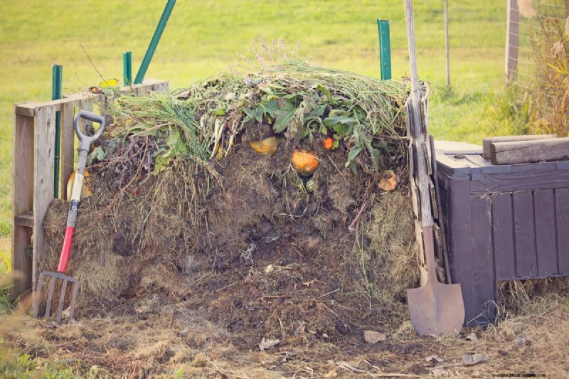 Yardworks Weed Puller:効果的な除草のための包括的なステップバイステップガイド 