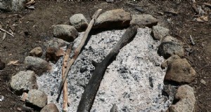 Gebruik van houtas voor homesteading:meer dan 7 bewezen toepassingen 