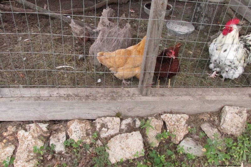 Gebruik van houtas voor homesteading:meer dan 7 bewezen toepassingen 