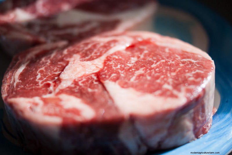 Vlees rechtstreeks van de boerderij:een gids voor het kopen van lokaal en ethisch vlees 