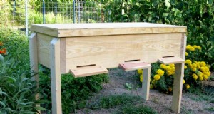 DIY-bijenkorfplannen:bouw een huis voor uw bijen | [Uw merk] 