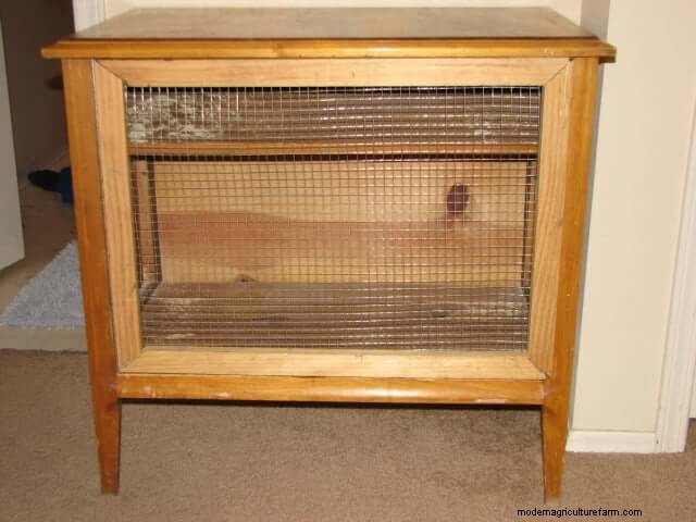 無料のウサギ小屋プラン:あなたのウサギのために安全で快適な家を建てましょう 