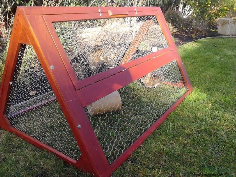 無料のウサギ小屋プラン:あなたのウサギのために安全で快適な家を建てましょう 