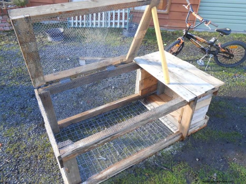 無料のウサギ小屋プラン:あなたのウサギのために安全で快適な家を建てましょう 