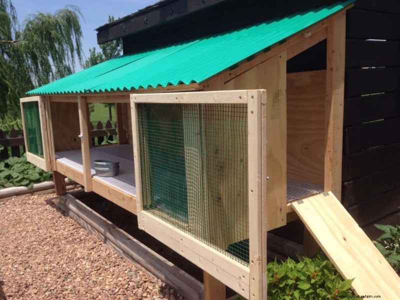 無料のウサギ小屋プラン:あなたのウサギのために安全で快適な家を建てましょう 