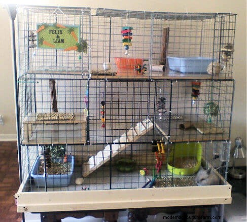無料のウサギ小屋プラン:あなたのウサギのために安全で快適な家を建てましょう 