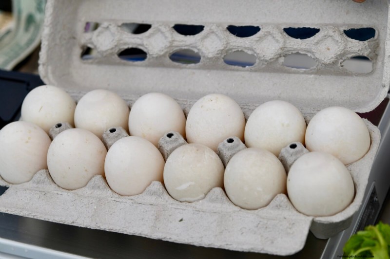 Eendeneieren:een uitgebreide gids voor smaak, voeding en gebruik 