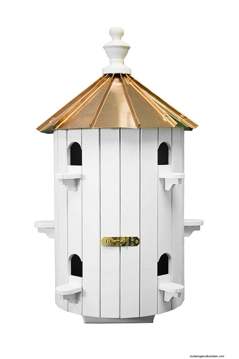 Beste vogelhuisjes:trek gevederde vrienden naar uw tuin 