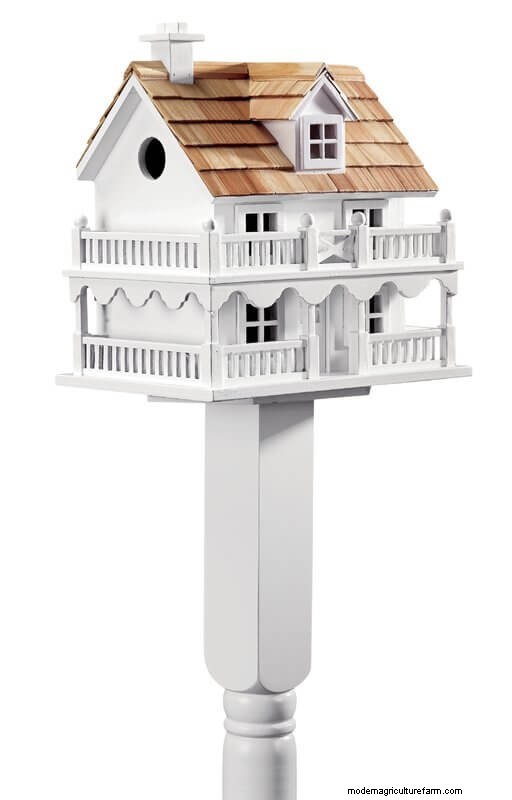 Beste vogelhuisjes:trek gevederde vrienden naar uw tuin 